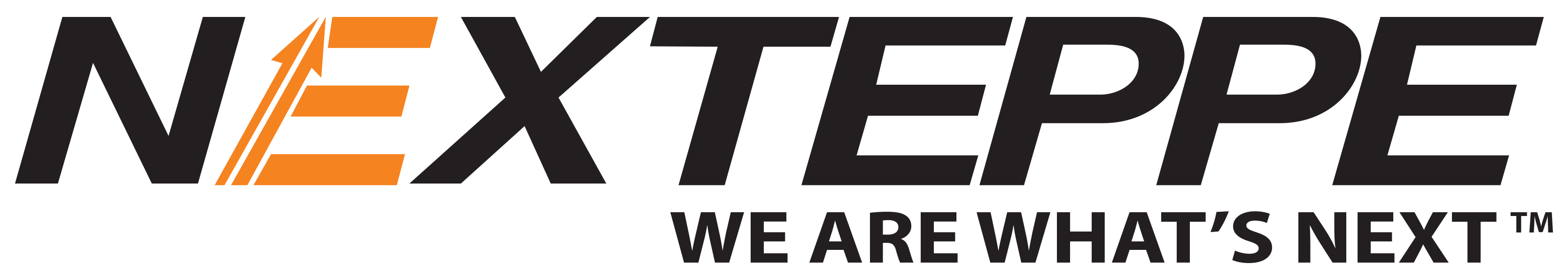 Nexteppe_logo_HD Nexteppe_logo_HD