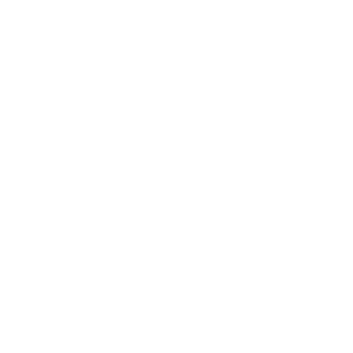 VW_Logo_White_RGB