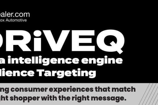 DRiVEQ Audience Targeting Infographic