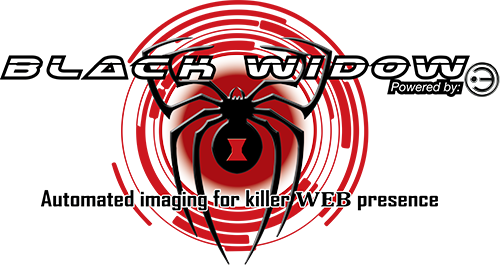 black-widow-logo-500×272-1 black-widow-logo-500x272-1